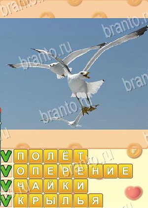 ответы на игру Поиск слов уровень 1017