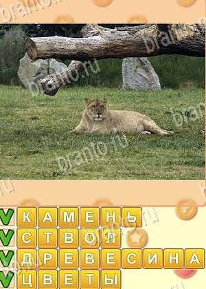 игра Поиск слов подсказки одноклассники уровень 1027