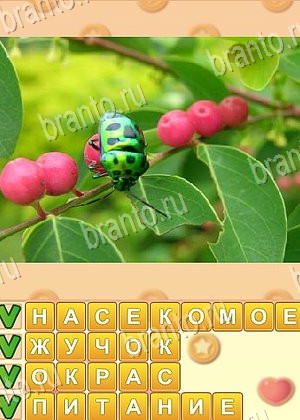 игра Поиск слов відповіді в контакте уровень 1031