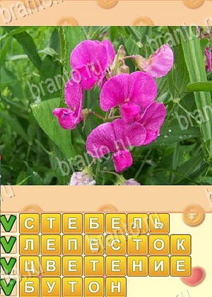 Поиск слов ответ на уровень 1041