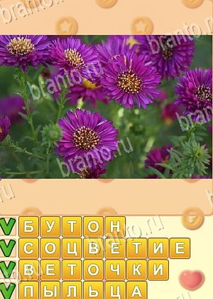 ответы на игру Поиск слов уровень 1045