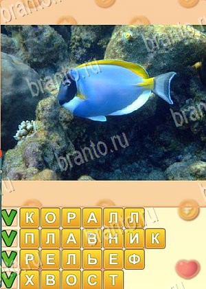 ответы на игру Поиск слов уровень 1047