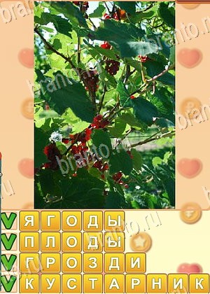 помощь на игру Поиск слов одноклассники уровень 1053