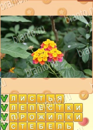 решения на игру Поиск слов Одноклассники уровень 1054