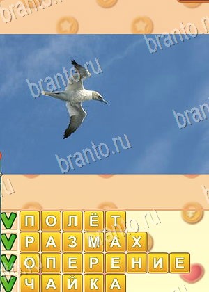 игра Поиск слов подсказки одноклассники уровень 1057