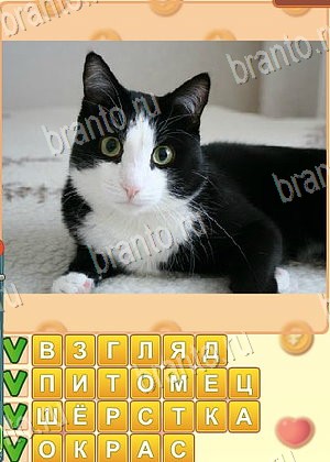 Поиск слов ответ на уровень 1062