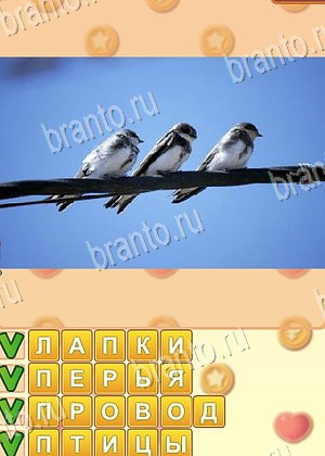 Поиск слов игра ответы Одноклассники уровень 1063