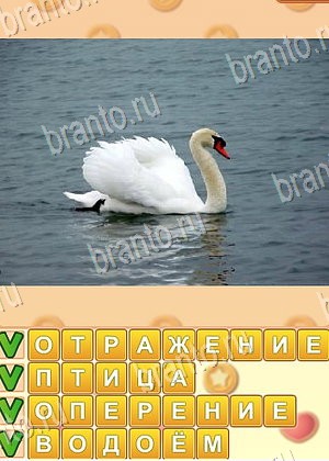 Поиск слов ответ на уровень 1071