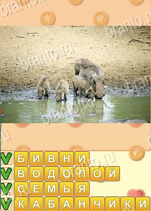 игра Поиск слов решения уровень 1089