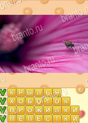 Поиск слов ответ на уровень 1101