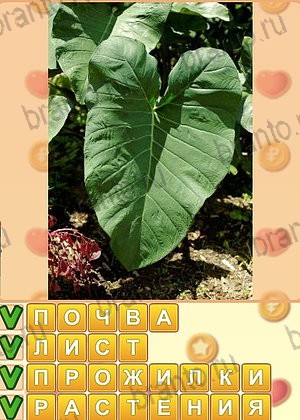 игра Искатель слов ответы в контакте уровень 1236