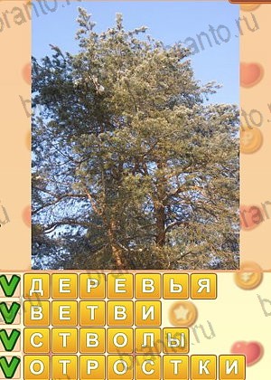 ответы на игру Искатель слов уровень 1257