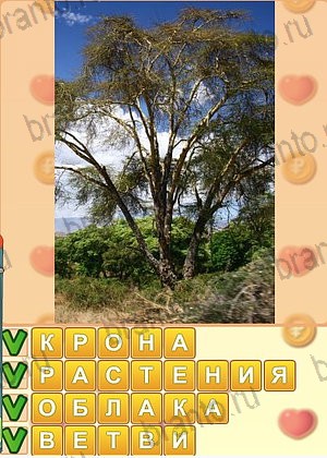 Искатель слов игра ответы Одноклассники уровень 1260