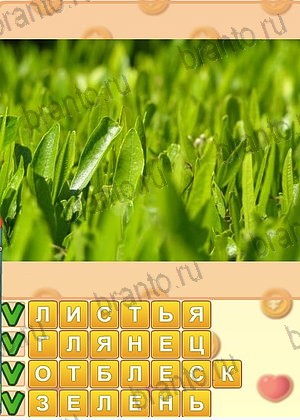 ответы на игру Искатель слов уровень 1291