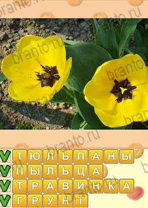 помощь на игру Искатель слов одноклассники уровень 1293