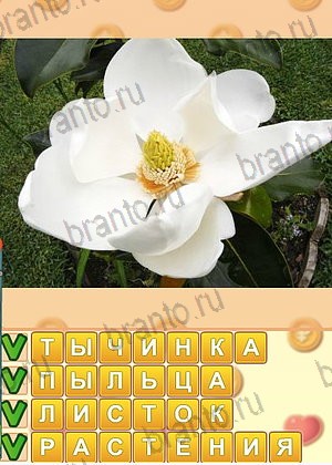 игра Искатель слов відповіді в контакте уровень 1300