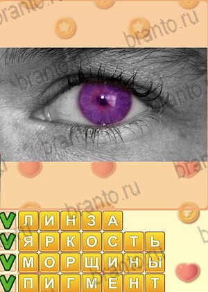 Искатель слов игра решения уровень 1306