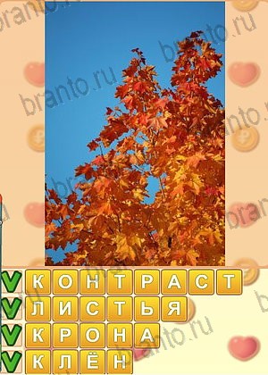 ответы на игру Искатель слов Одноклассники уровень 1307