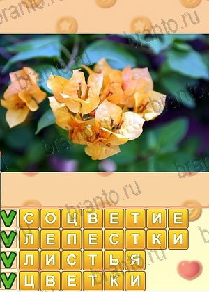 приложение Искатель слов ответы на все задания уровень 1309