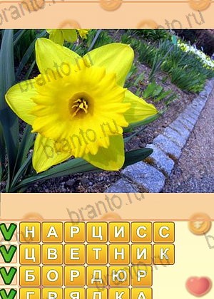 ответы на игру Искатель слов уровень 1316