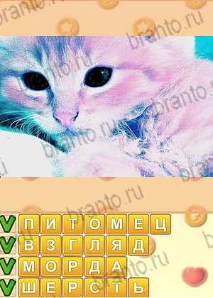 ответы на игру Искатель слов уровень 1317