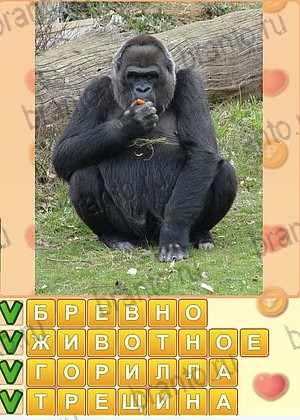 помощь на игру Искатель слов одноклассники уровень 1323