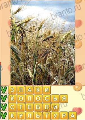 игра Искатель слов помощь Одноклассники уровень 1328