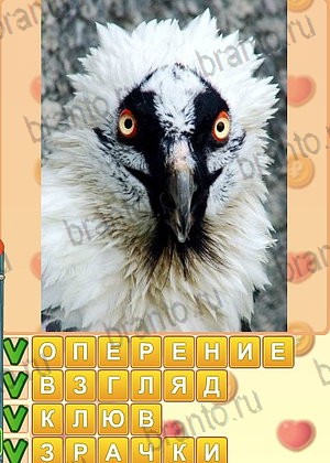 скриншоты с ответами Искатель слов уровень 1334