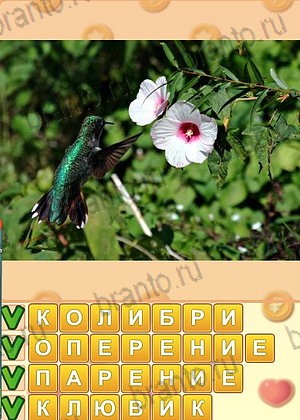 Искатель слов Одноклассники ответ на уровень 1343