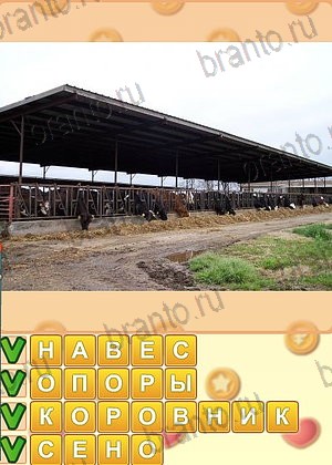 ответы на игру Искатель слов уровень 1344