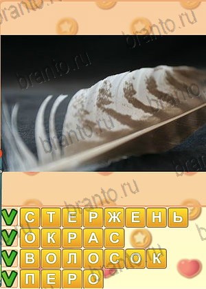 ответы на игру Искатель слов уровень 1345