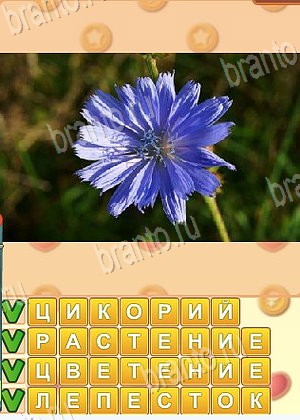 решения на игру Искатель слов Одноклассники уровень 1684