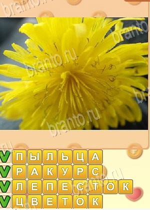 игра Искатель слов ответы в контакте уровень 1686