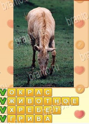 игра Искатель слов помощь Одноклассники уровень 1688