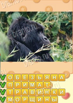 Искатель слов ответ на уровень 1701