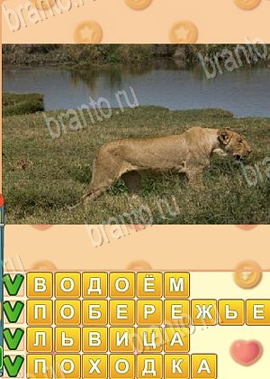 ответы на игру Искатель слов уровень 1702