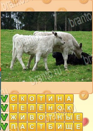 Искатель слов игра решения уровень 1726