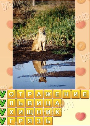 ответы на игру Искатель слов уровень 1732