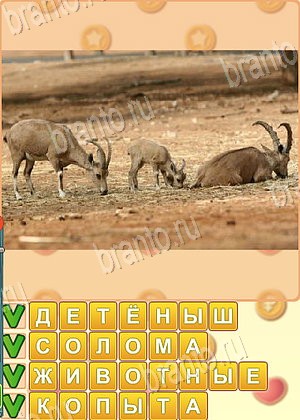 ответы на игру Искатель слов уровень 1735