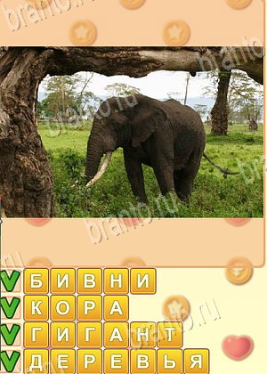 ответы на игру Искатель слов уровень 1736