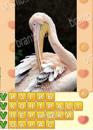 ответы на игру Искатель слов в Одноклассниках уровень 1739