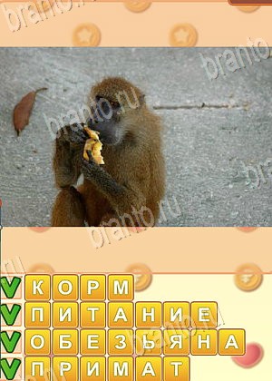 подсказки на игру Искатель слов уровень 1742