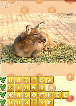 решения на игру Искатель слов Одноклассники уровень 1744