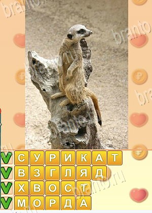 игра Искатель слов подсказки одноклассники уровень 1747