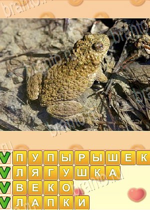 игра Искатель слов відповіді в контакте уровень 1750