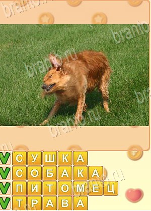 игра Искатель слов відповіді в контакте уровень 1751