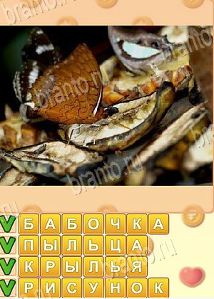 Искатель слов ответ на уровень 1752