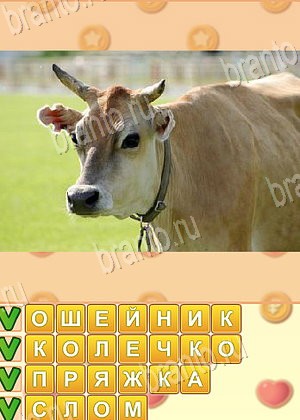 Искатель слов игра ответы Одноклассники уровень 1753