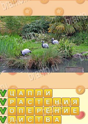 Искатель слов игра решения уровень 1756