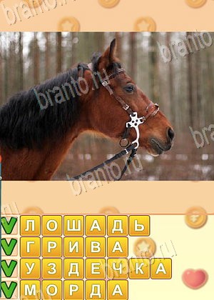 ответы на игру Искатель слов Одноклассники уровень 1757